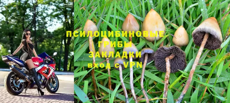 omg зеркало  Энем  Галлюциногенные грибы Magic Shrooms  купить наркотик 